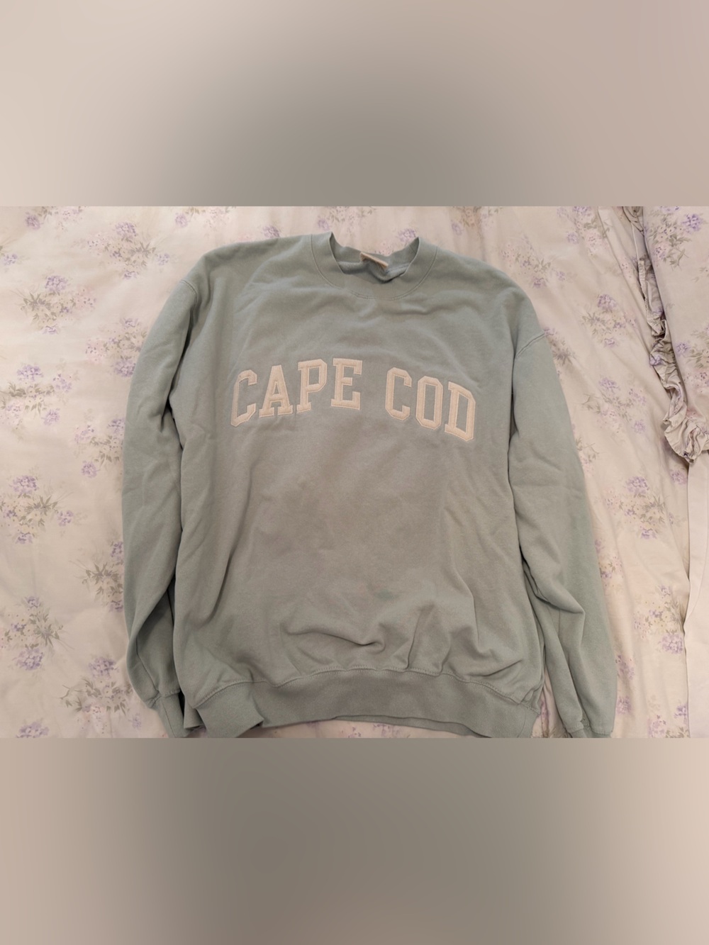 Cape Cod Crewneck Sweatshirt in Light Sage
